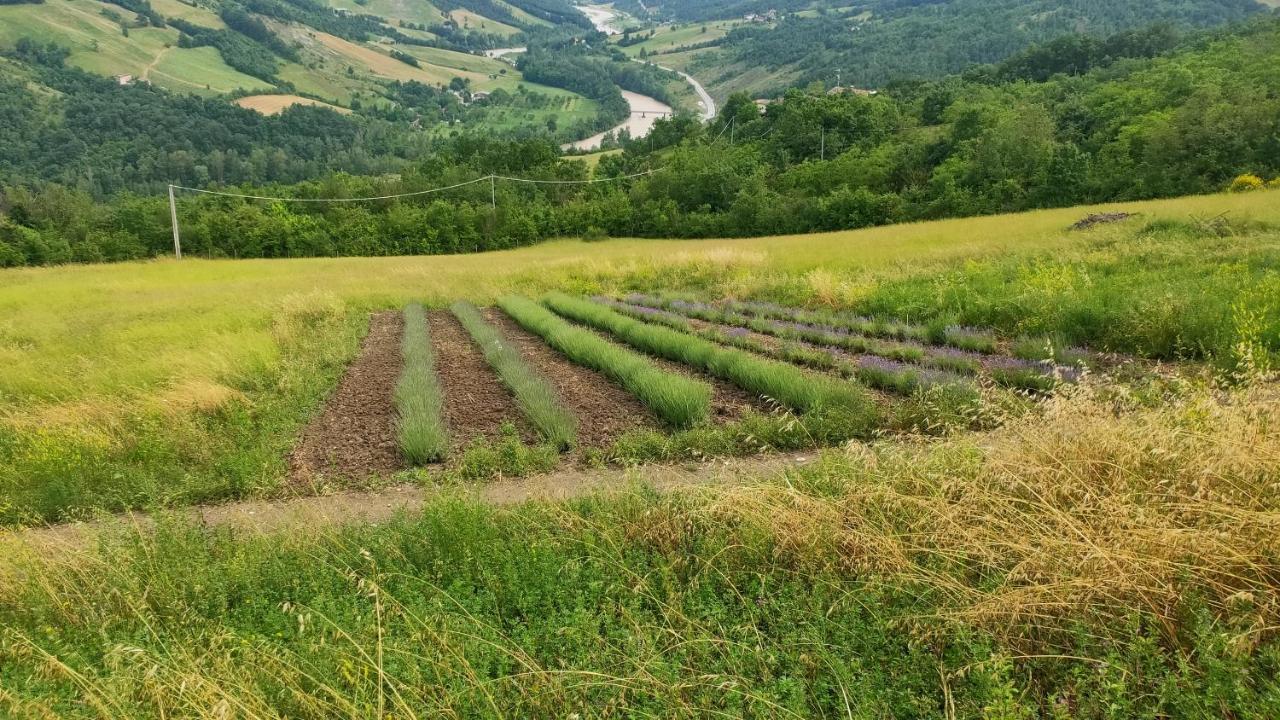 Hotel La Finestra Sul Mondo Marano sul Panaro Esterno foto